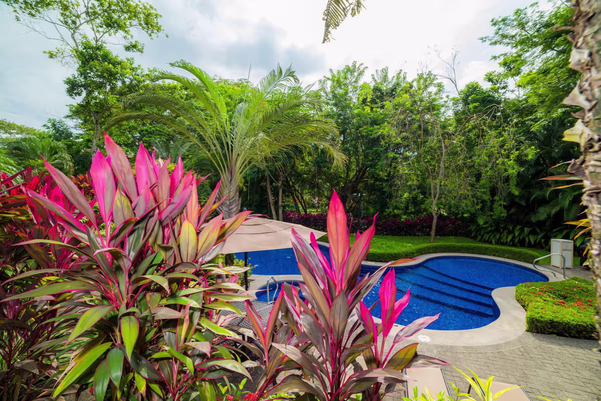 Los Sueños One-Bedroom Luxury Condos image 7015
