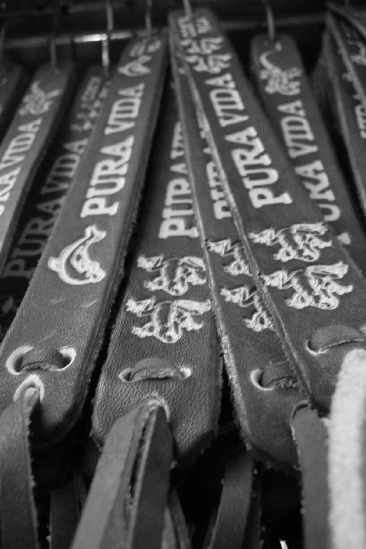 City Sightseeing image 7076