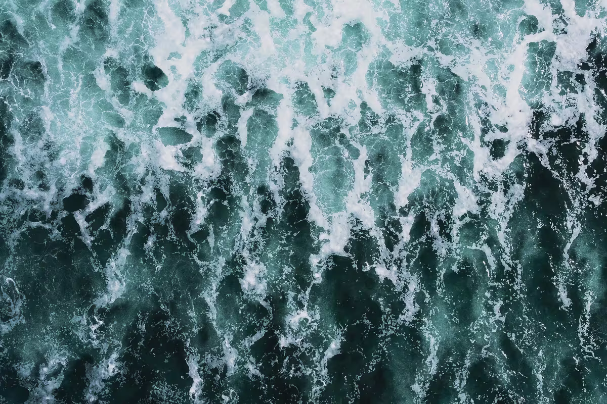 Marino Ballena - Marine National Park image 7098