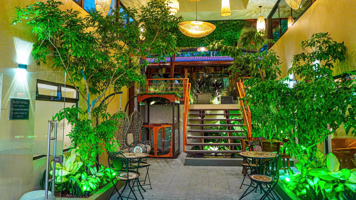 Sibū Lodge image 8772