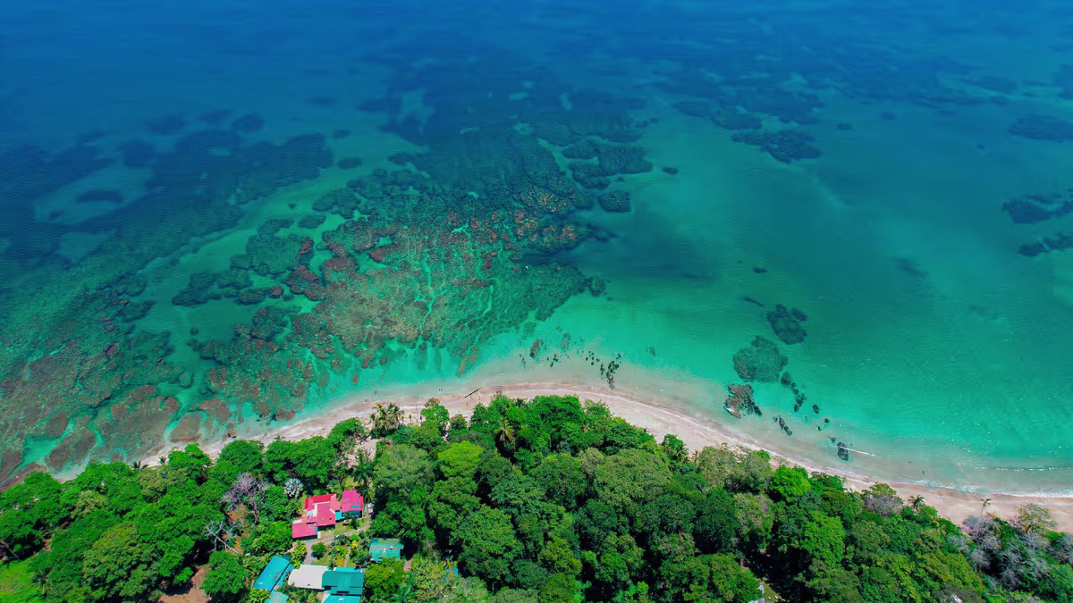 Puerto Viejo image 10901