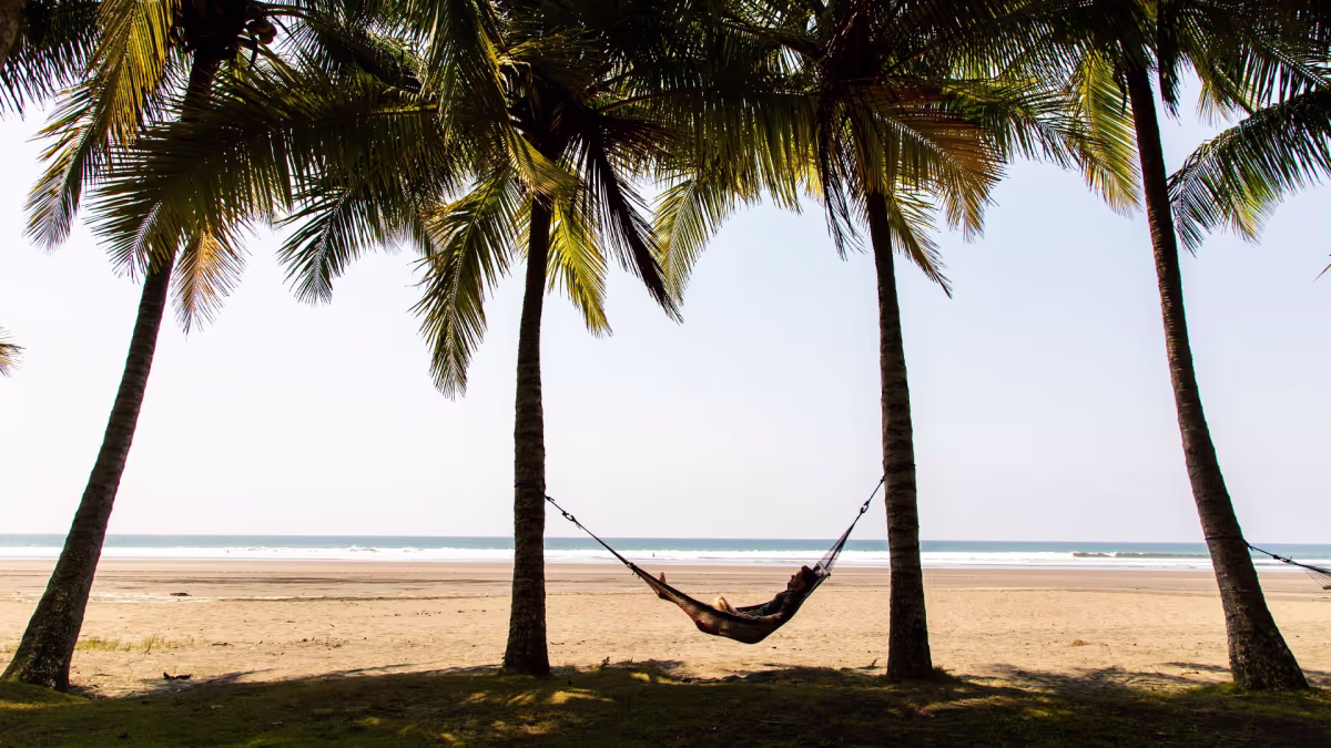 Esterillos image 11627