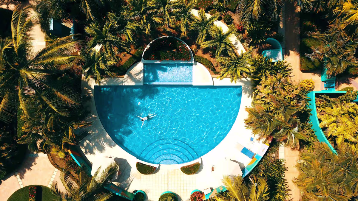 Alma Del Pacifico image 12641