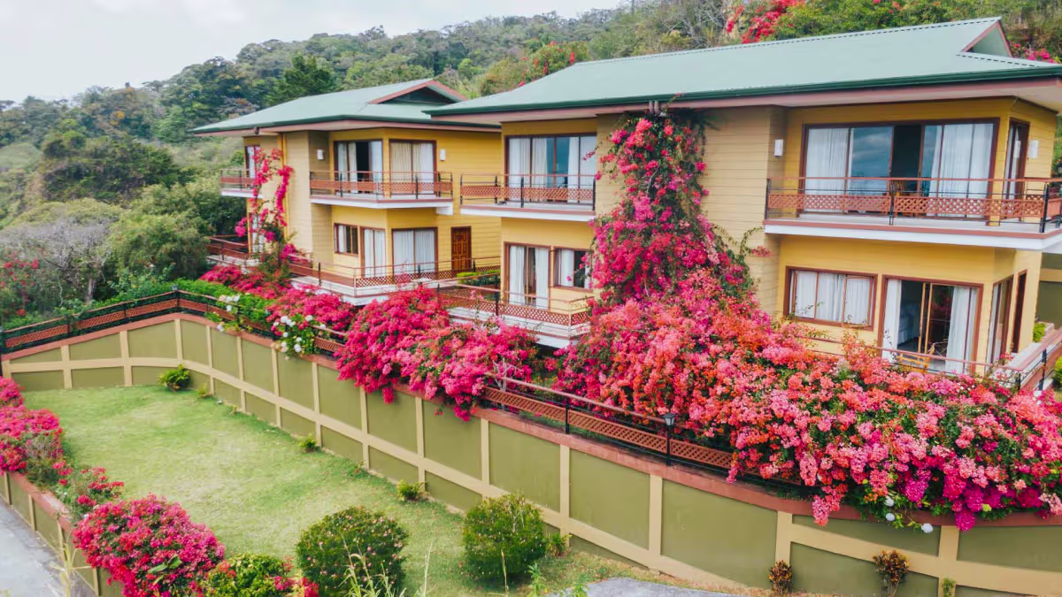 Ficus Sunset Suites image 13535