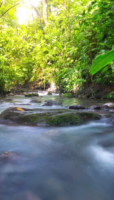 Costa Rica Travel Agency