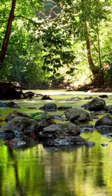 Costa Rica Travel Agency