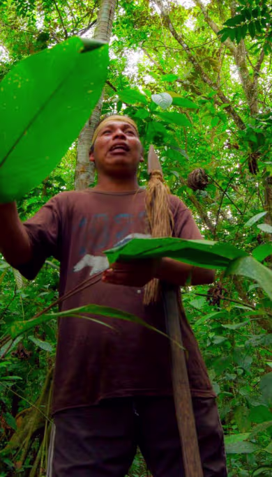 Costa Rica Travel Agency