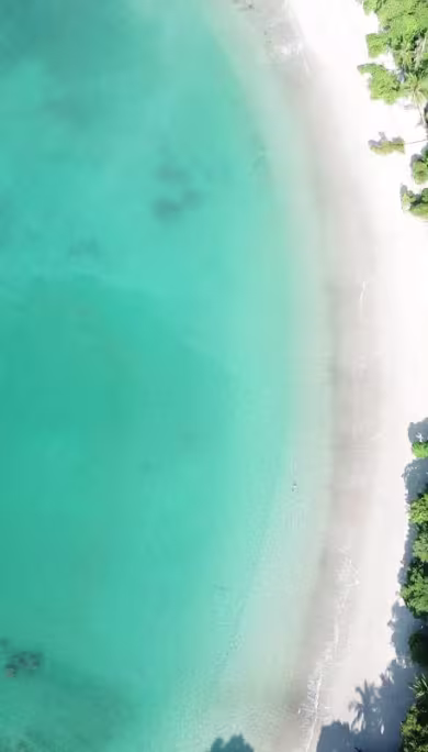 Costa Rica Travel Agency