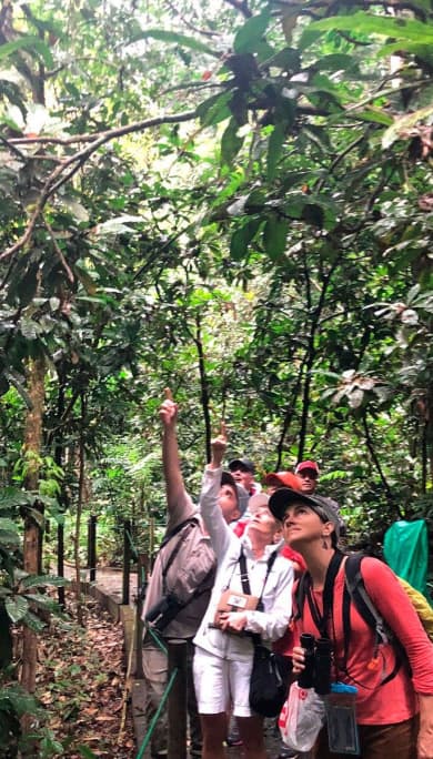 Costa Rica Travel Agency