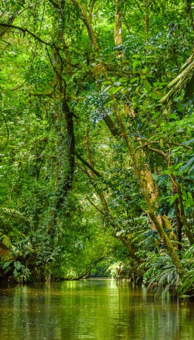 Costa Rica Travel Agency