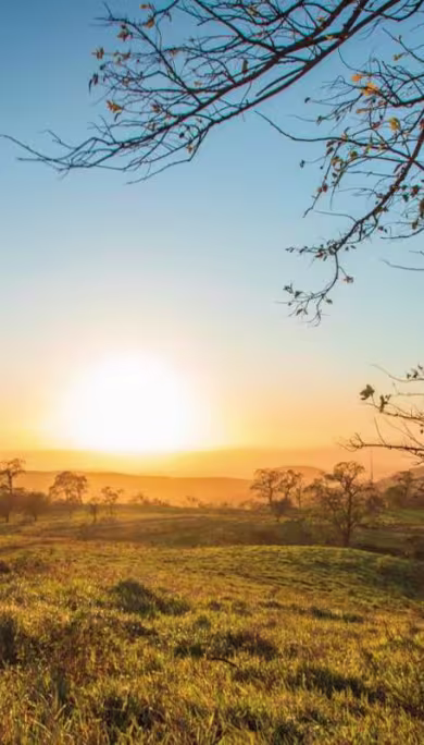 Costa Rica Travel Agency