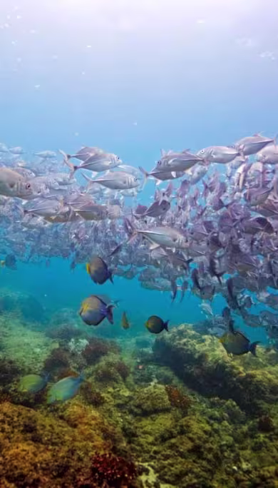 Costa Rica Travel Agency