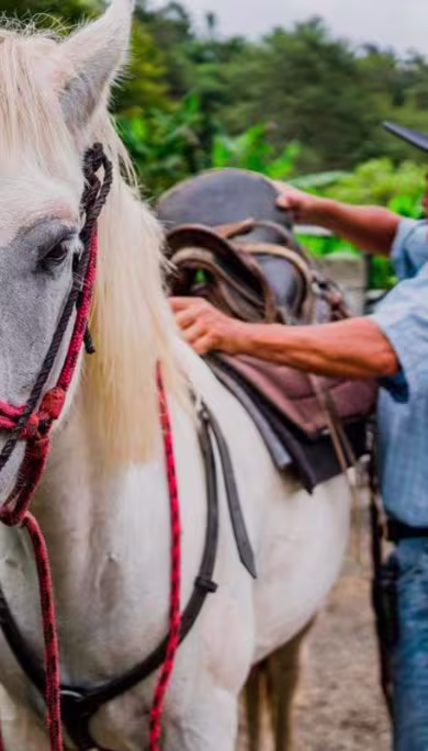 Costa Rica Travel Agency