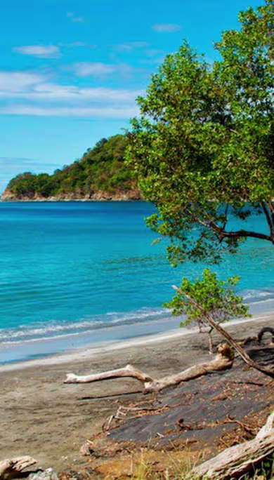 Costa Rica Travel Agency