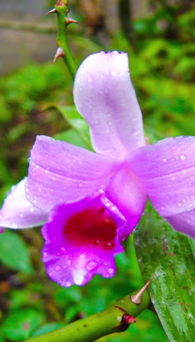 Costa Rica Travel Agency