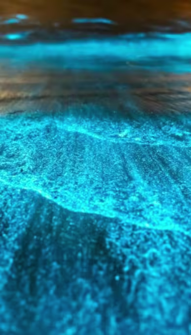 Costa Rica Travel Agency