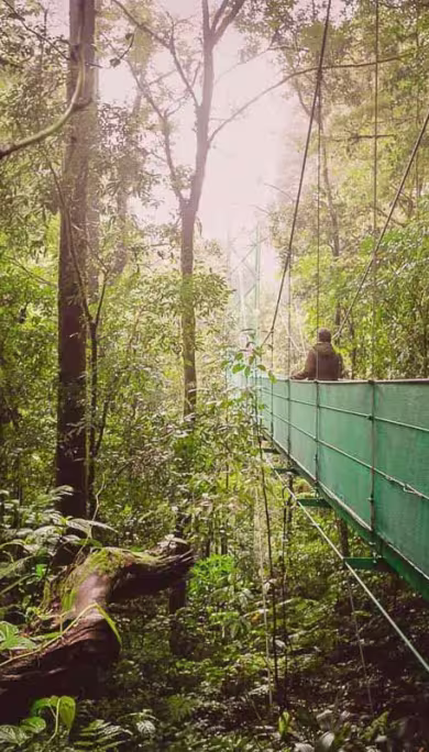 Costa Rica Travel Agency