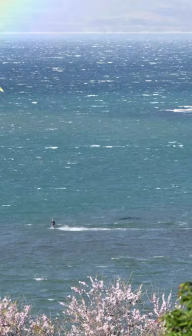 Costa Rica Travel Agency