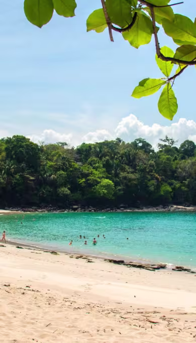 Costa Rica Travel Agency