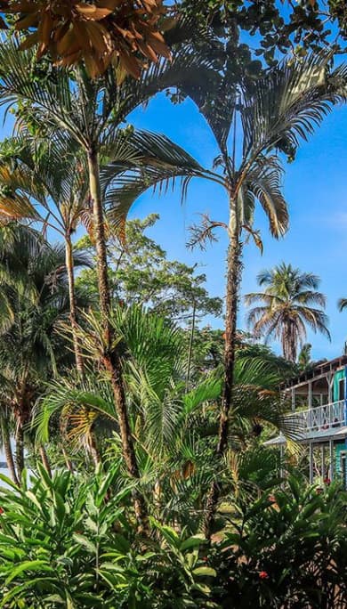 Costa Rica Travel Agency