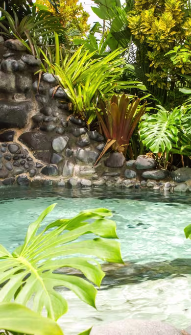 Costa Rica Travel Agency