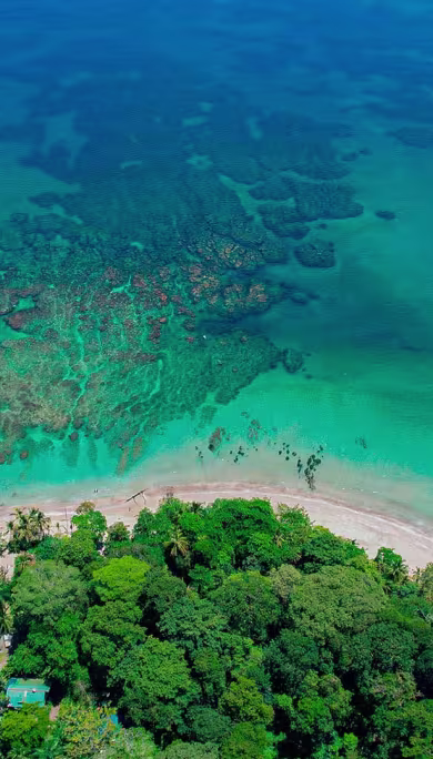 Costa Rica Travel Agency