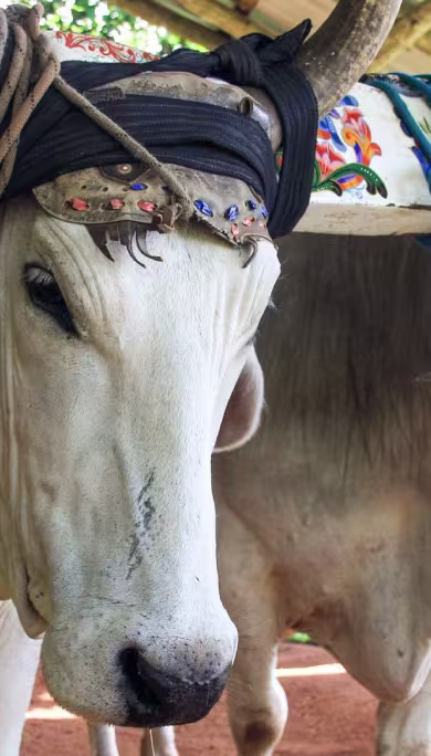 Costa Rica Travel Agency