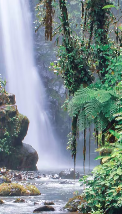 Costa Rica Travel Agency