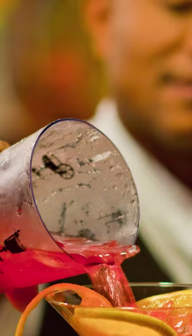 Costa Rica Travel Agency