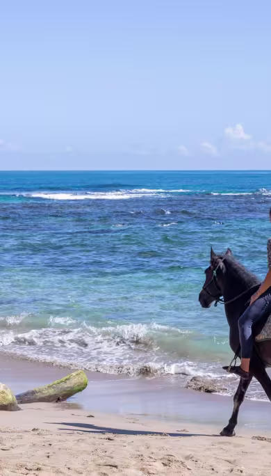 Costa Rica Travel Agency