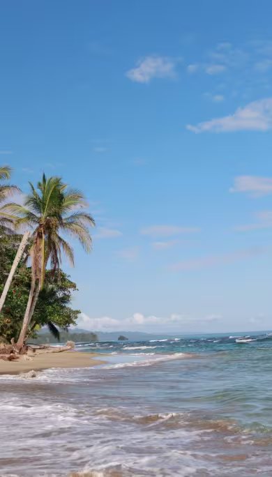 Costa Rica Travel Agency