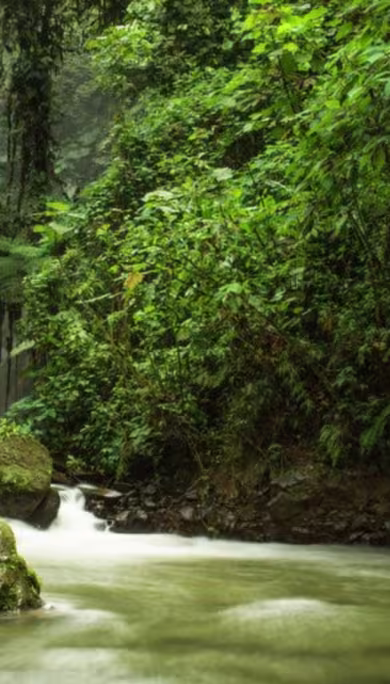 Costa Rica Travel Agency