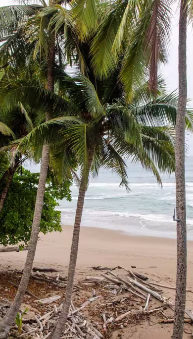 Costa Rica Travel Agency