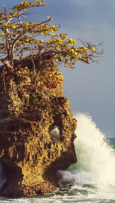 Costa Rica Travel Agency