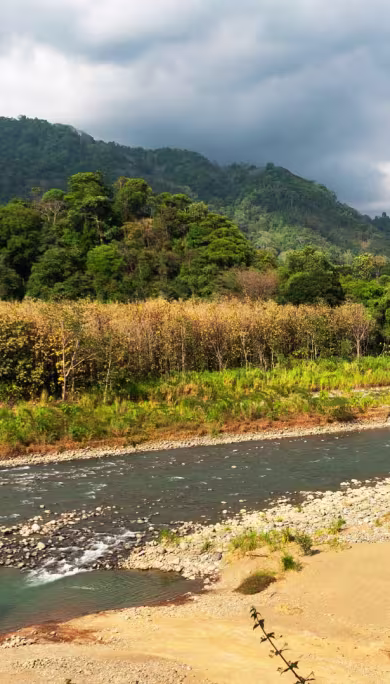 Costa Rica Travel Agency