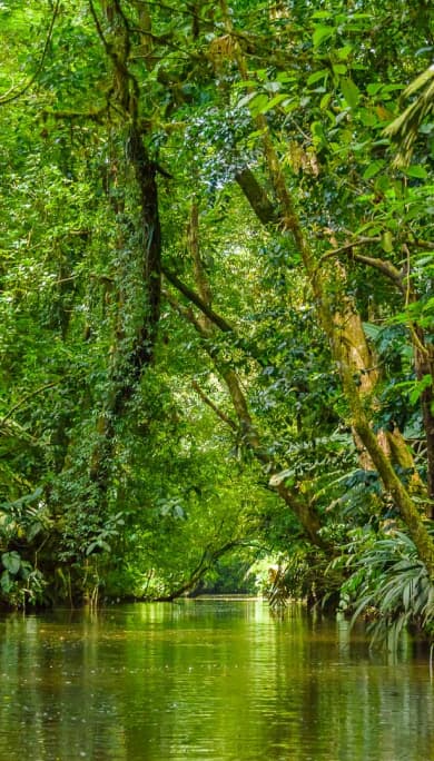 Costa Rica Travel Agency