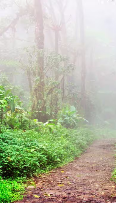 Costa Rica Travel Agency