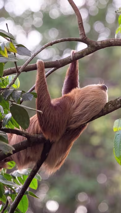 Costa Rica Travel Agency