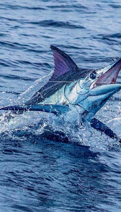 Costa Rica Travel Agency