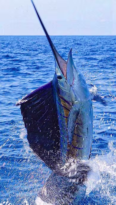 Costa Rica Travel Agency