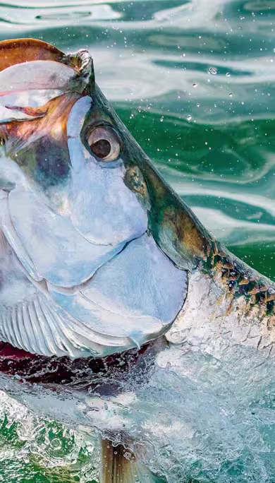 Costa Rica Travel Agency