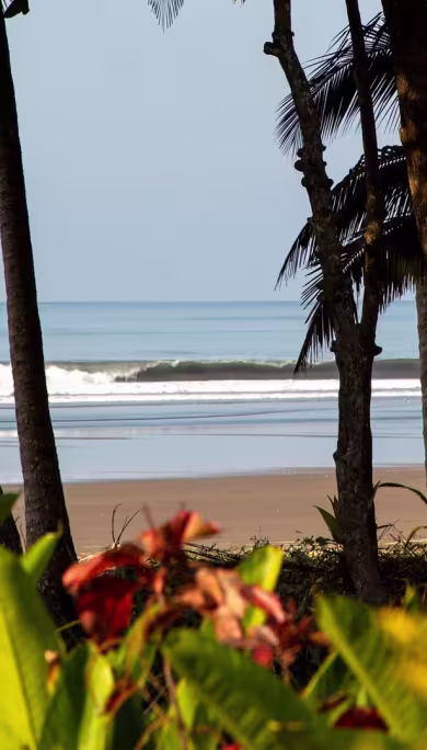 Costa Rica Travel Agency