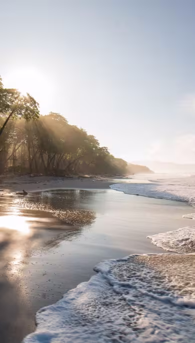 Costa Rica Travel Agency