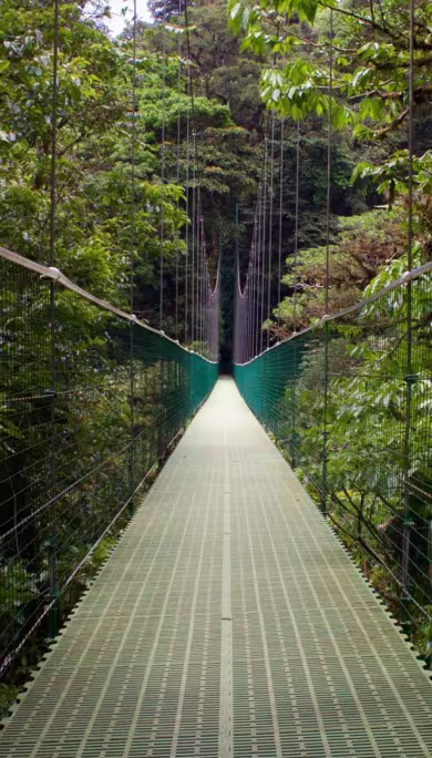 Costa Rica Travel Agency