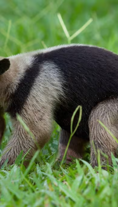 Costa Rica Travel Agency