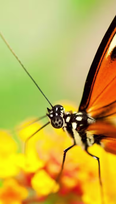 Costa Rica Travel Agency