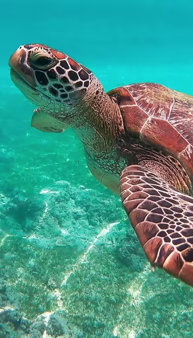 Costa Rica Travel Agency