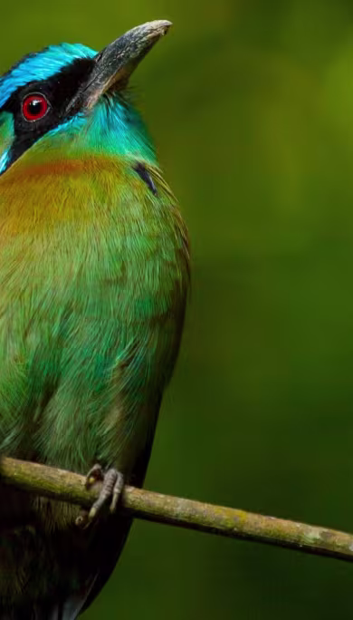 Costa Rica Travel Agency