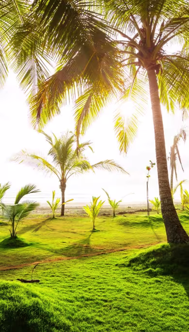 Costa Rica Travel Agency