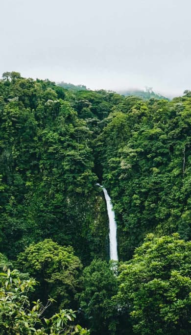 Costa Rica Travel Agency